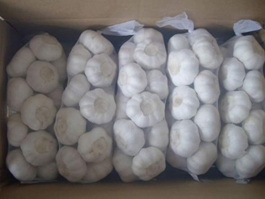 点击查看详细信息<br>标题：整蒜 阅读次数：2152
