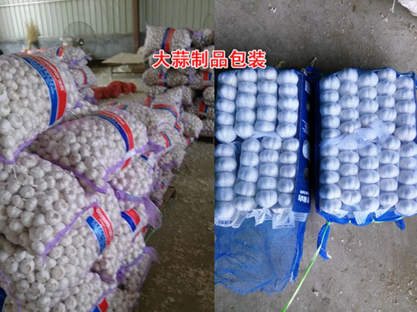 点击查看详细信息<br>标题：大蒜制品包装 阅读次数：1618