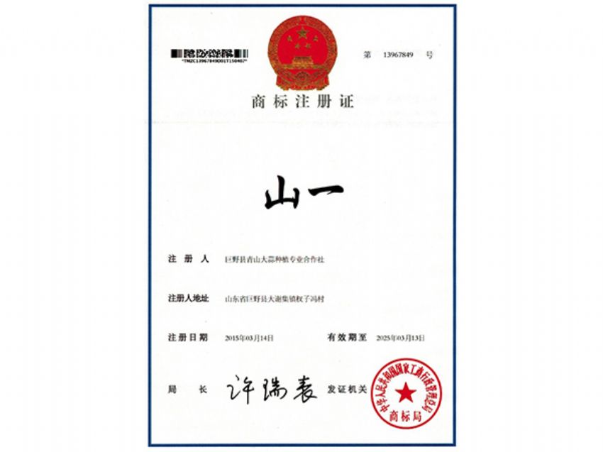 点击查看详细信息<br>标题：青山大蒜种植专业合作社商标 阅读次数：1512
