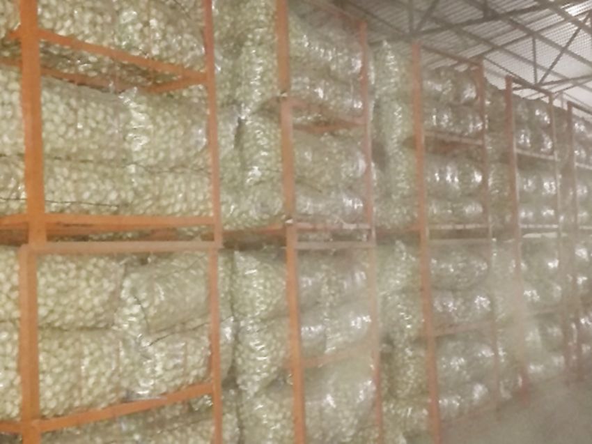 点击查看详细信息<br>标题：成品蒜 阅读次数：2430