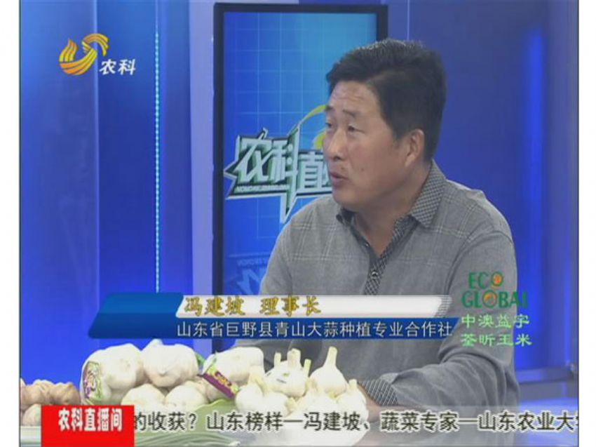 点击查看详细信息<br>标题：冯建坡：闯出来的“蒜你狠” 阅读次数：1506