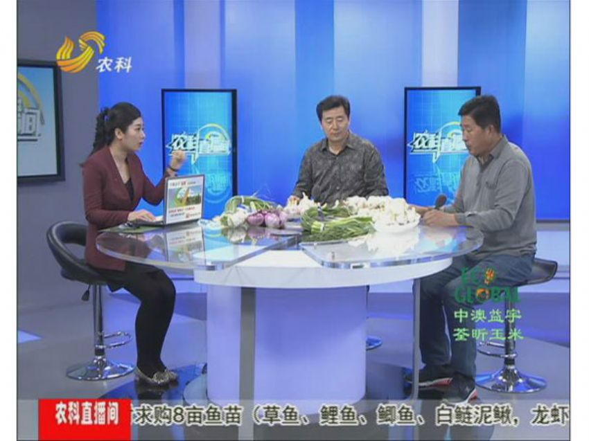 点击查看详细信息<br>标题：冯建坡：闯出来的“蒜你狠” 阅读次数：1541