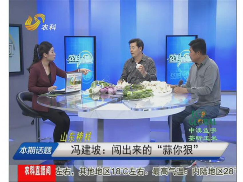 点击查看详细信息<br>标题：冯建坡：闯出来的“蒜你狠” 阅读次数：1596