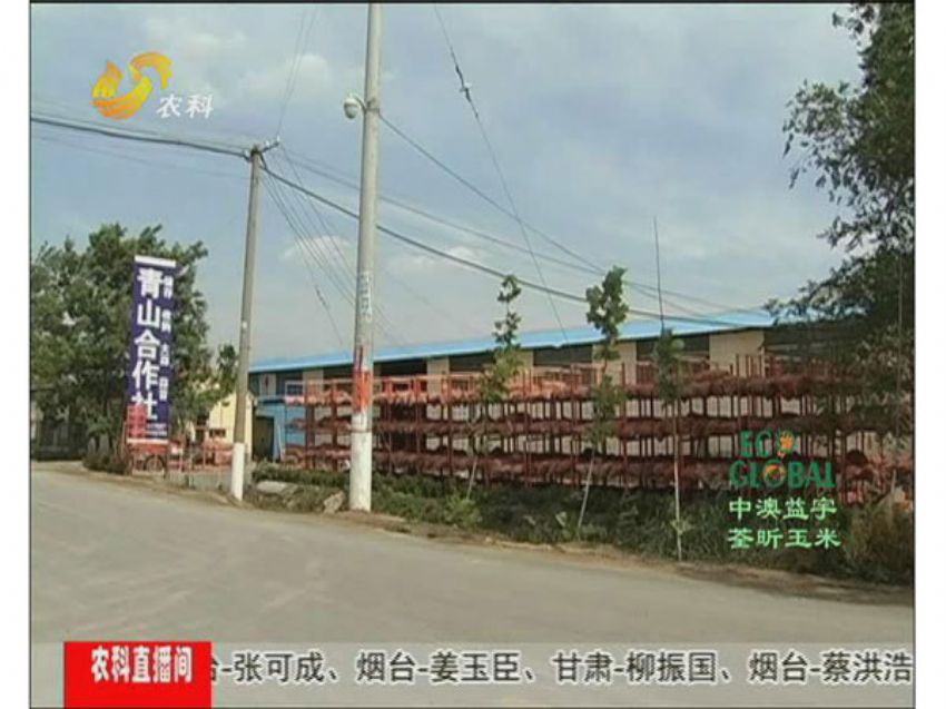 点击查看详细信息<br>标题：冯建坡：闯出来的“蒜你狠” 阅读次数：1589