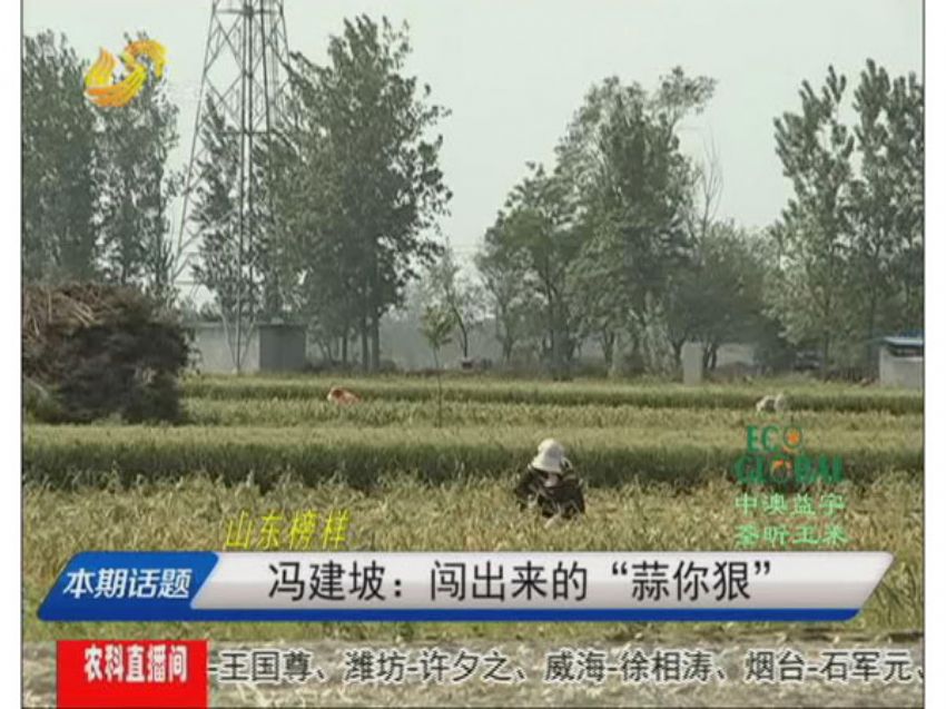 点击查看详细信息<br>标题：冯建坡：闯出来的“蒜你狠” 阅读次数：1541