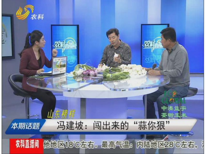 点击查看详细信息<br>标题：冯建坡：闯出来的“蒜你狠” 阅读次数：1656