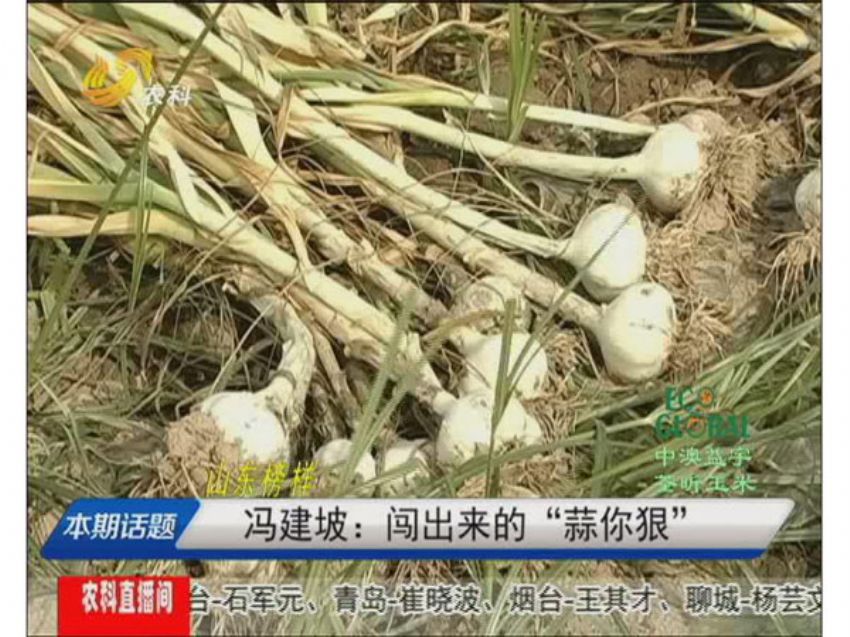 点击查看详细信息<br>标题：冯建坡：闯出来的“蒜你狠” 阅读次数：1653