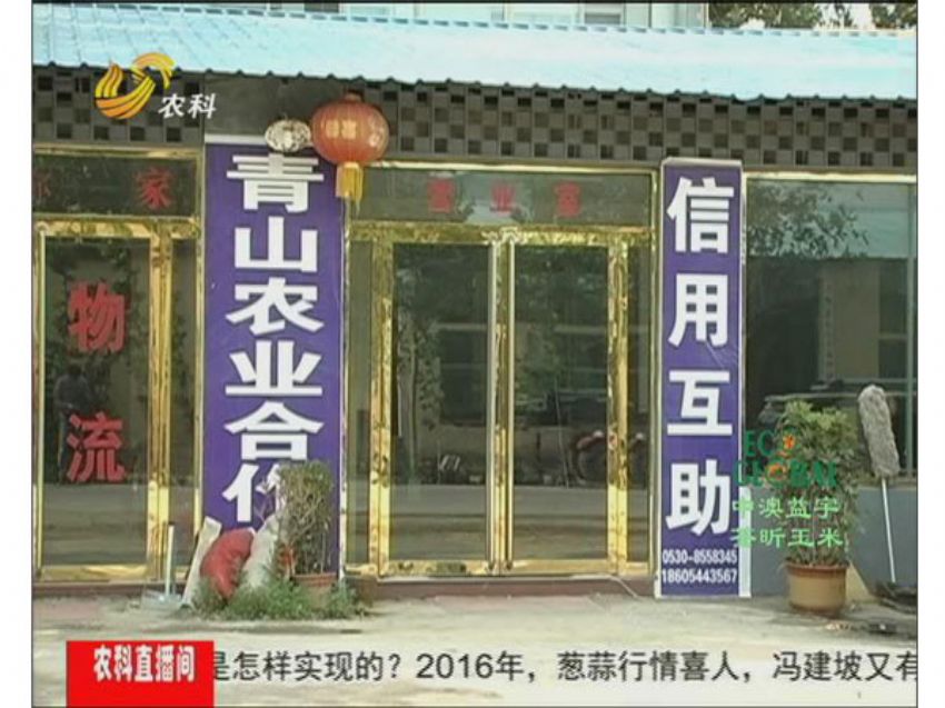 点击查看详细信息<br>标题：冯建坡：闯出来的“蒜你狠” 阅读次数：1575