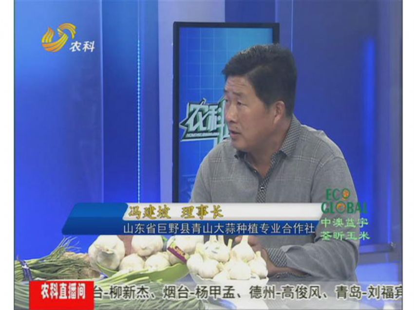 点击查看详细信息<br>标题：冯建坡：闯出来的“蒜你狠” 阅读次数：1460