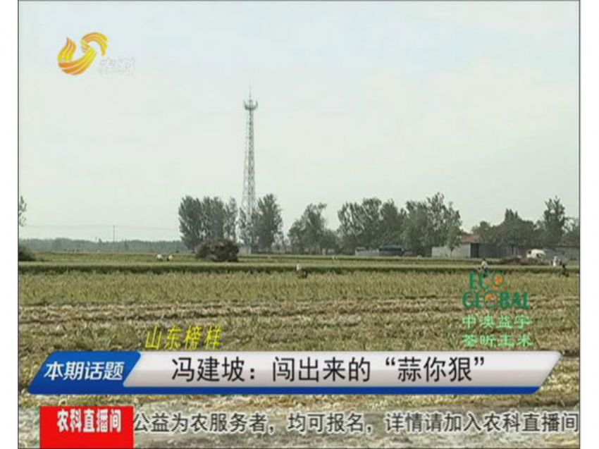 点击查看详细信息<br>标题：冯建坡：闯出来的“蒜你狠” 阅读次数：1496