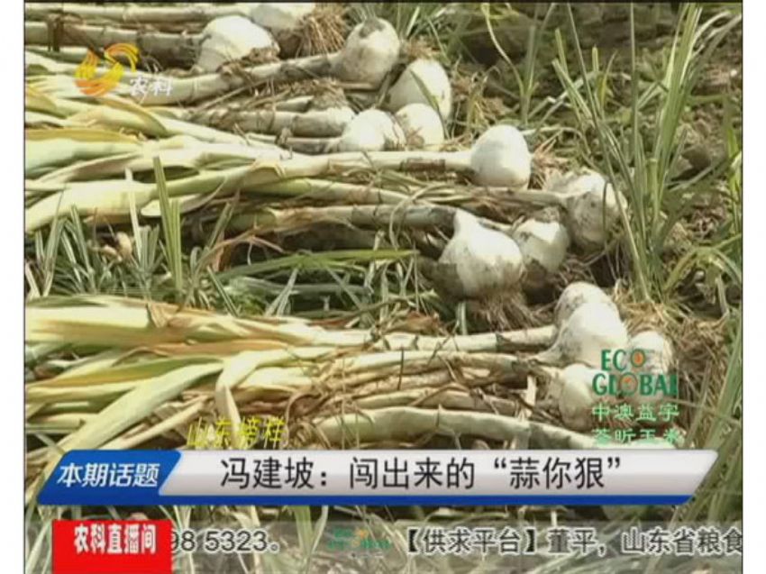点击查看详细信息<br>标题：冯建坡：闯出来的“蒜你狠” 阅读次数：1449