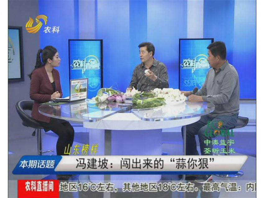 点击查看详细信息<br>标题：冯建坡：闯出来的“蒜你狠” 阅读次数：1386