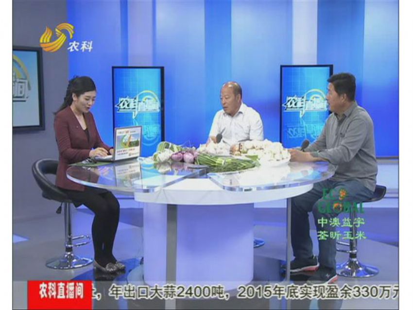 点击查看详细信息<br>标题：冯建坡：闯出来的“蒜你狠” 阅读次数：1534