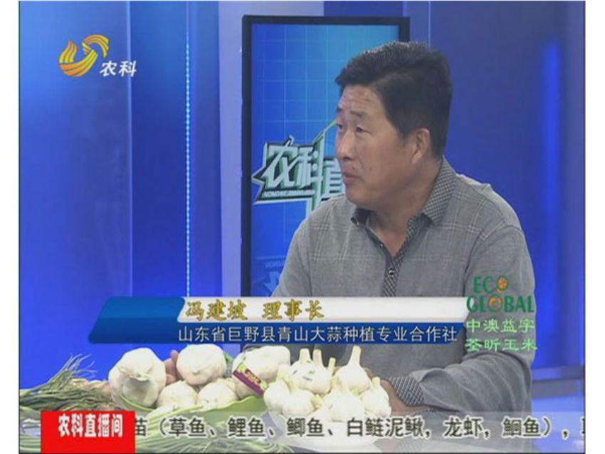 点击查看详细信息<br>标题：冯建坡：闯出来的“蒜你狠” 阅读次数：1542