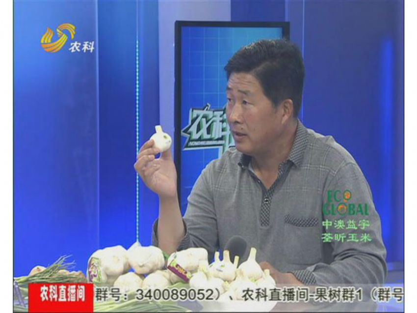 点击查看详细信息<br>标题：冯建坡：闯出来的“蒜你狠” 阅读次数：1522